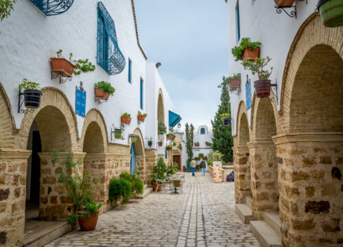 Osmanlı Mirası Tunus & Sahrası