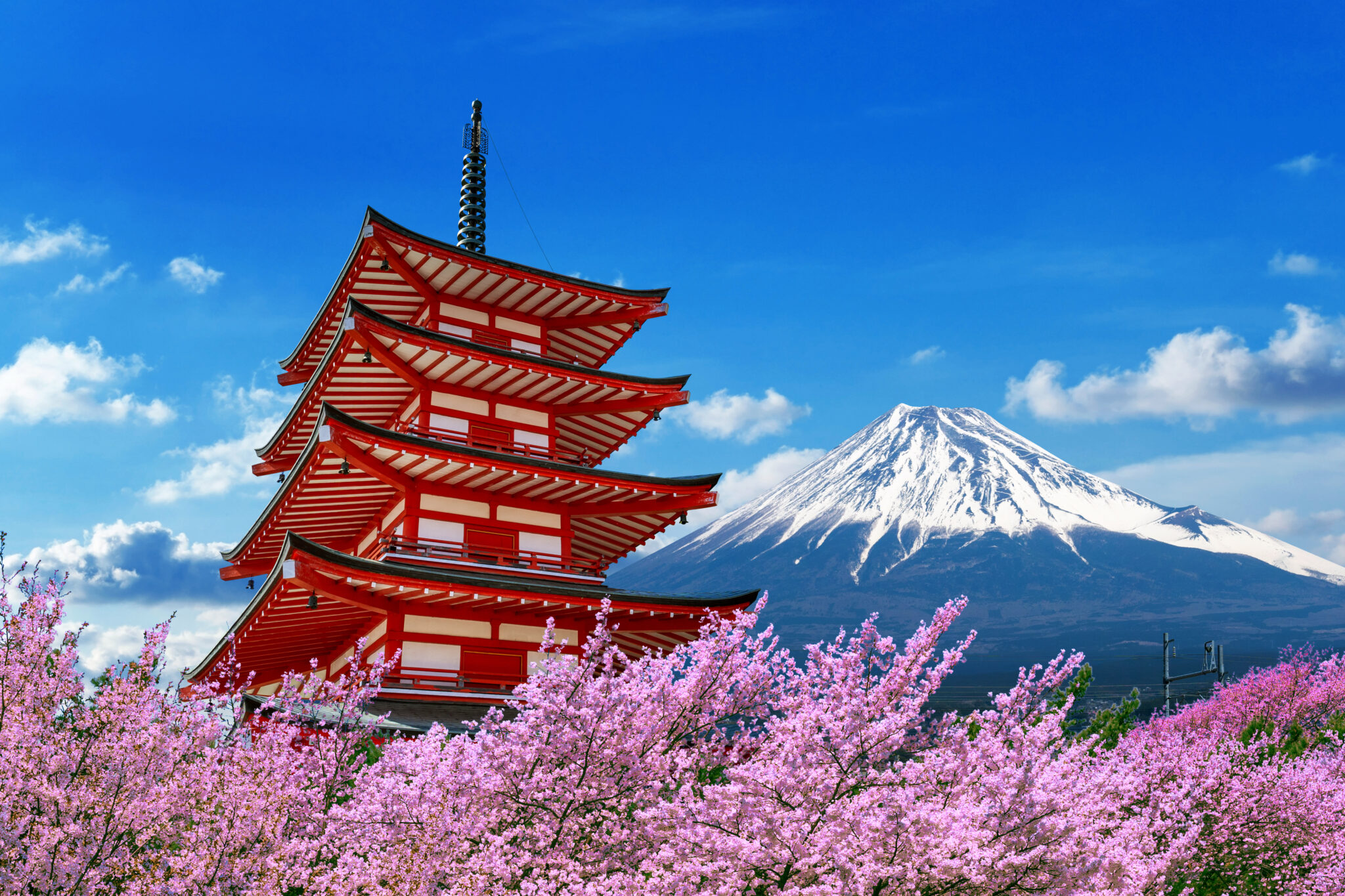 Japonya’nın Kalbinde: Kültür, Doğa ve Geleneğin İzinde